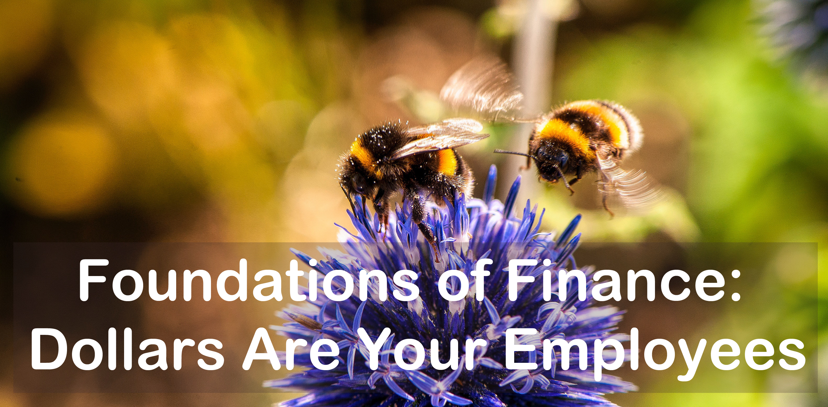 You are currently viewing Foundations of Finance: Dollars Are Your Employees