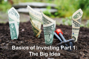 Read more about the article Basics of Investing Part 1: The Big Idea
