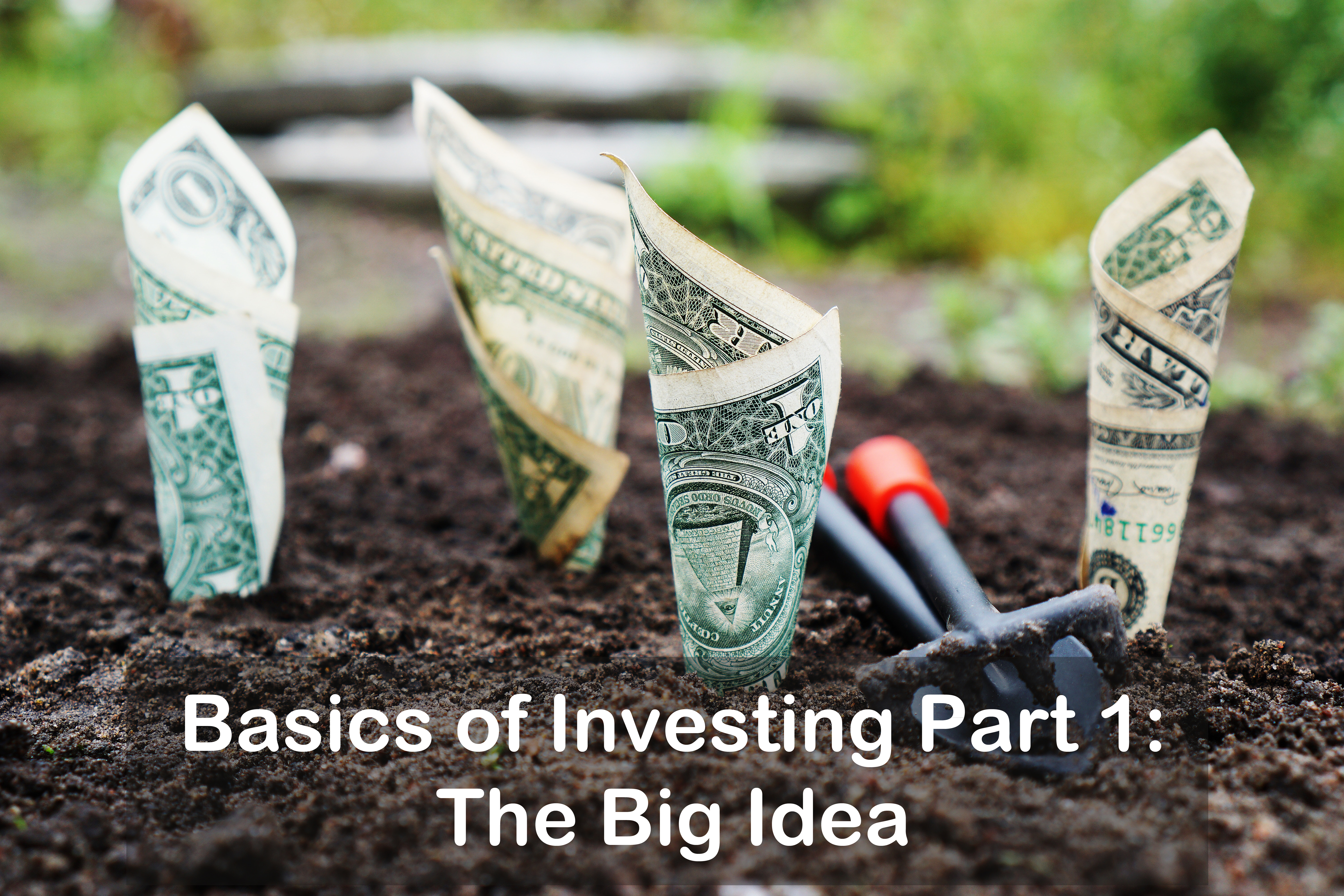 You are currently viewing Basics of Investing Part 1: The Big Idea