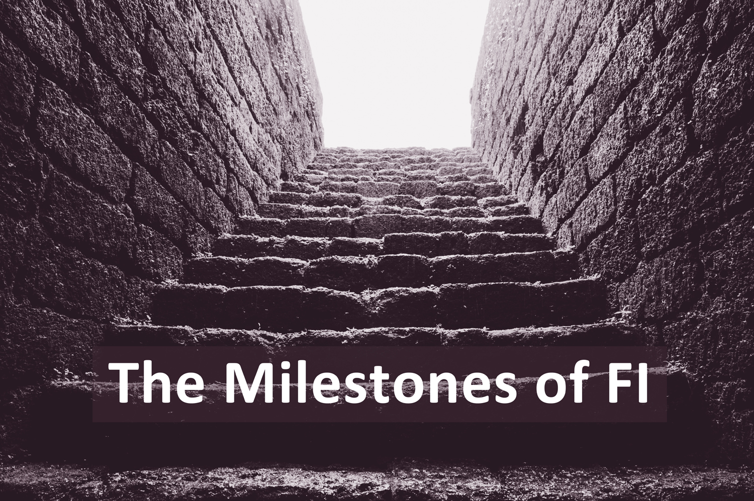 You are currently viewing The Milestones of FI