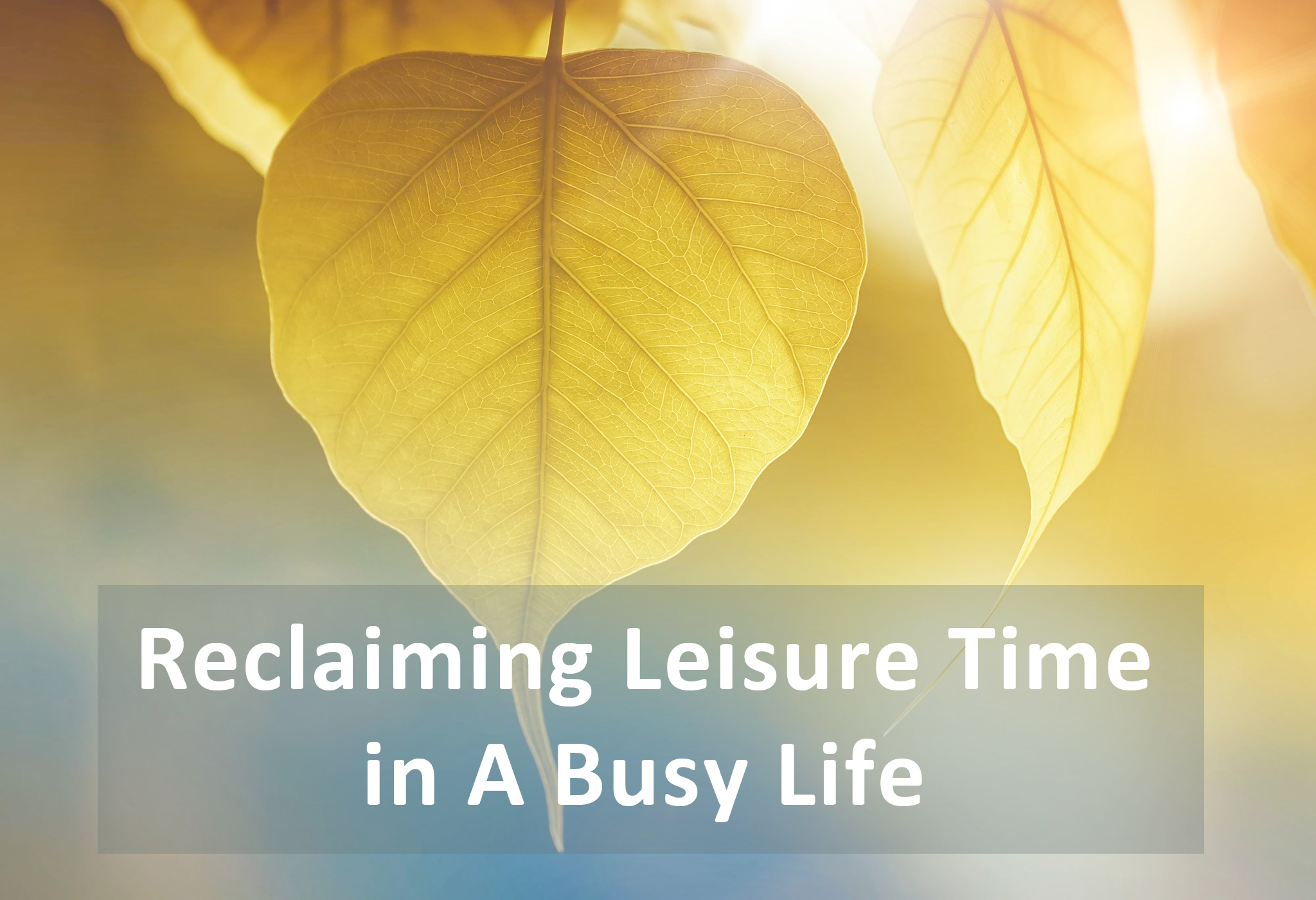 You are currently viewing Reclaiming Leisure Time in A Busy Life