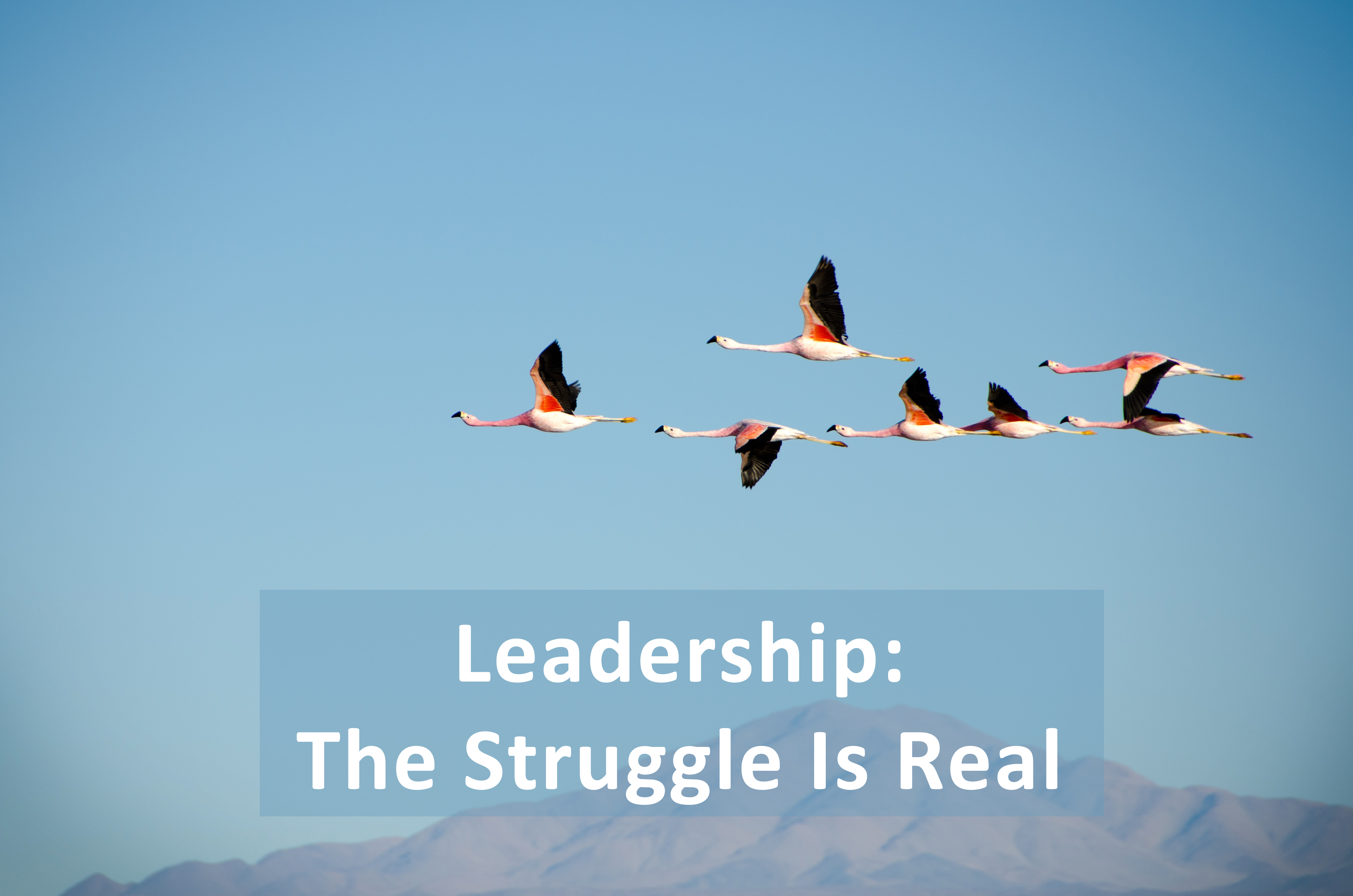 Read more about the article Leadership: The Struggle Is Real