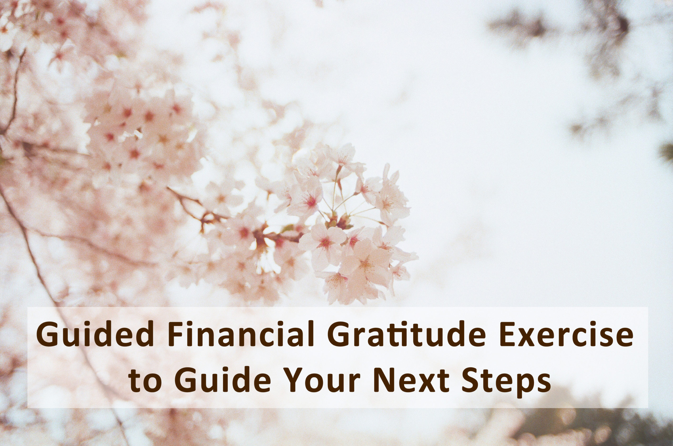 You are currently viewing Guided Financial Gratitude Exercise to Guide Your Next Steps
