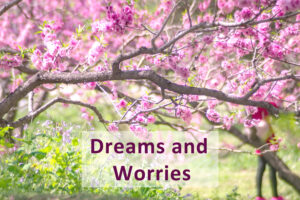 Read more about the article Dreams and Worries