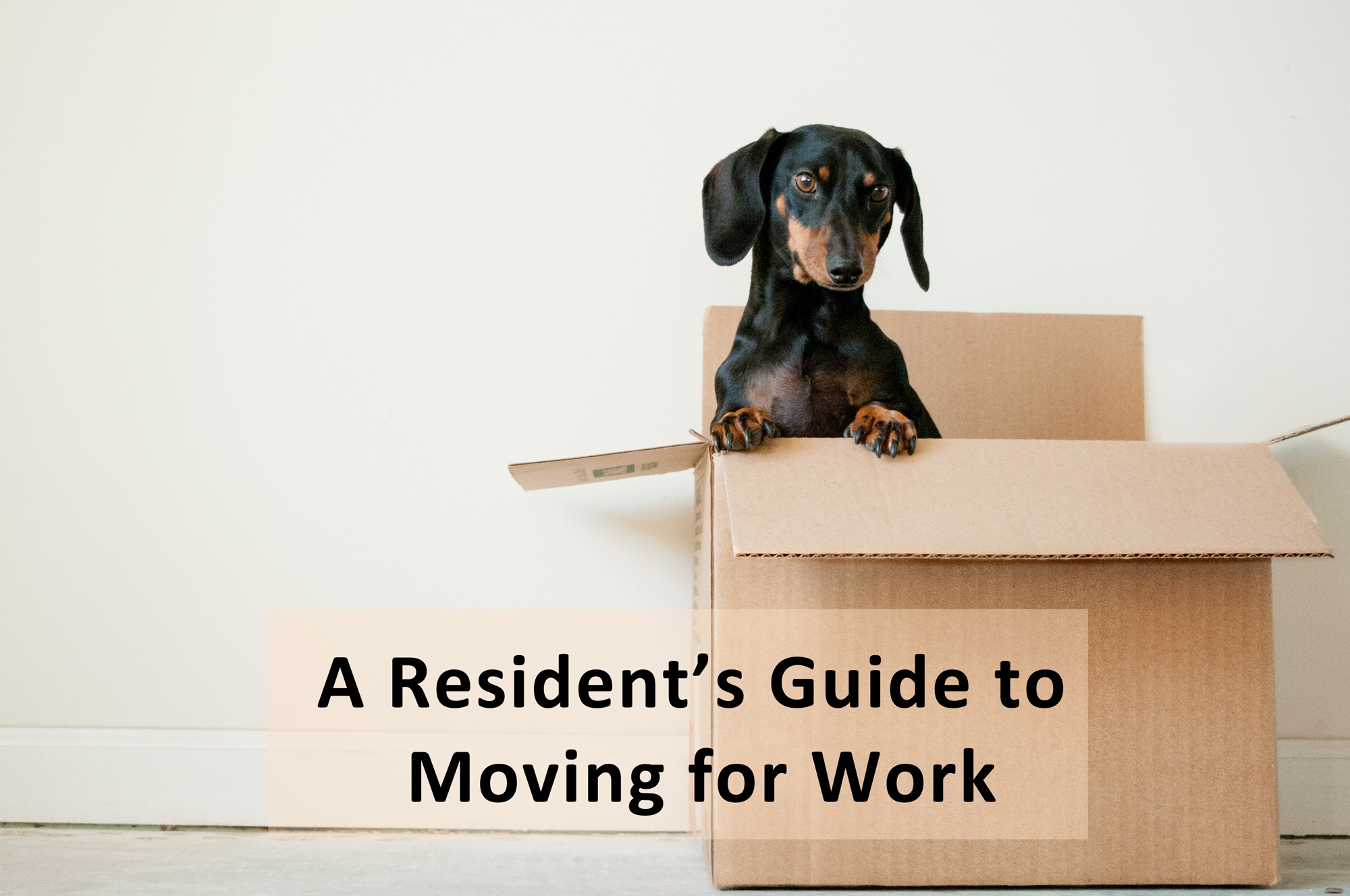 You are currently viewing A Resident’s Guide to Moving for Work