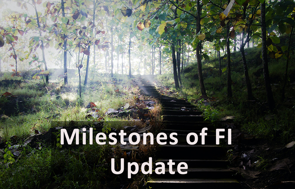 You are currently viewing Milestones of FI Update