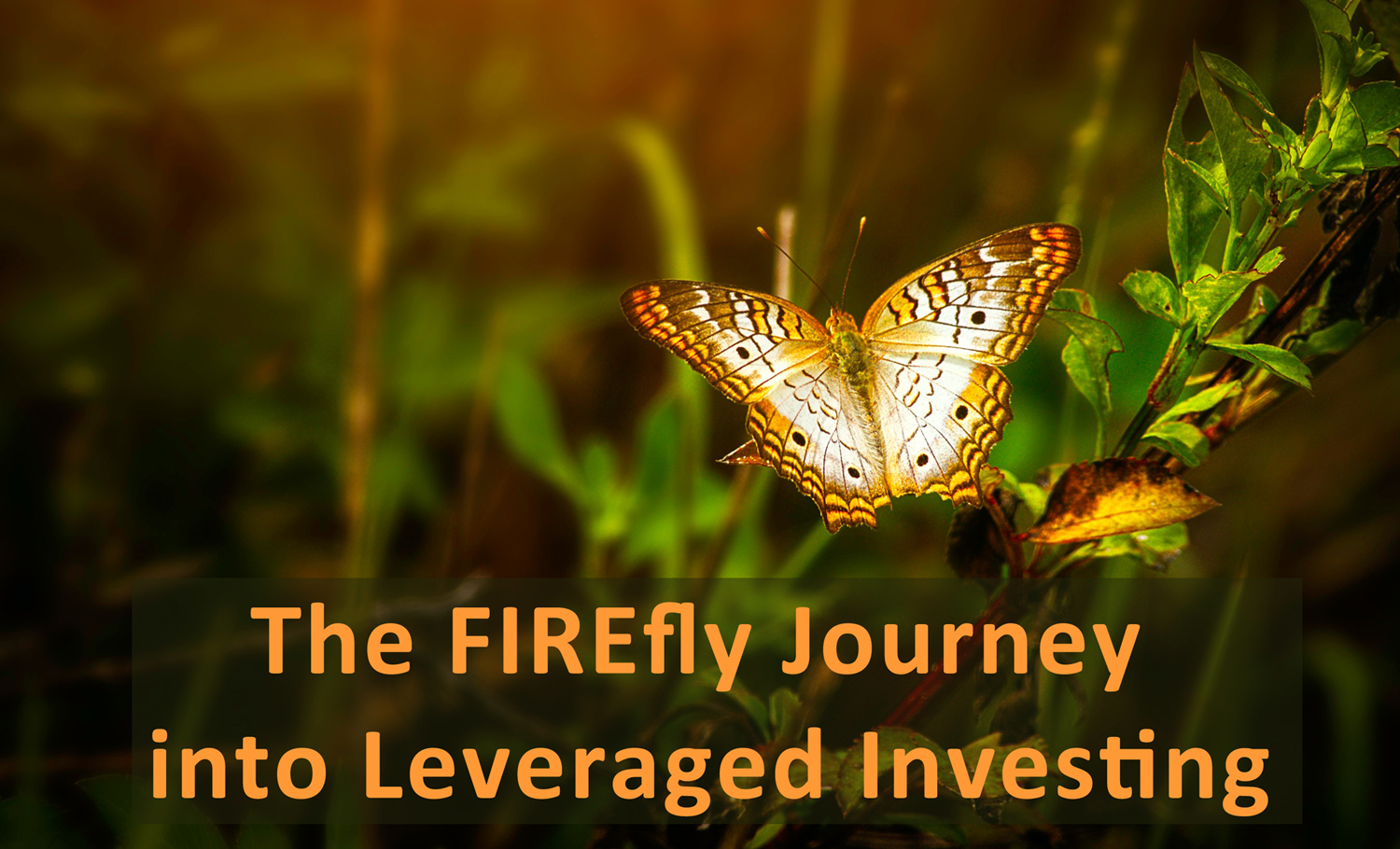 You are currently viewing The FIREfly Journey into Leveraged Investing