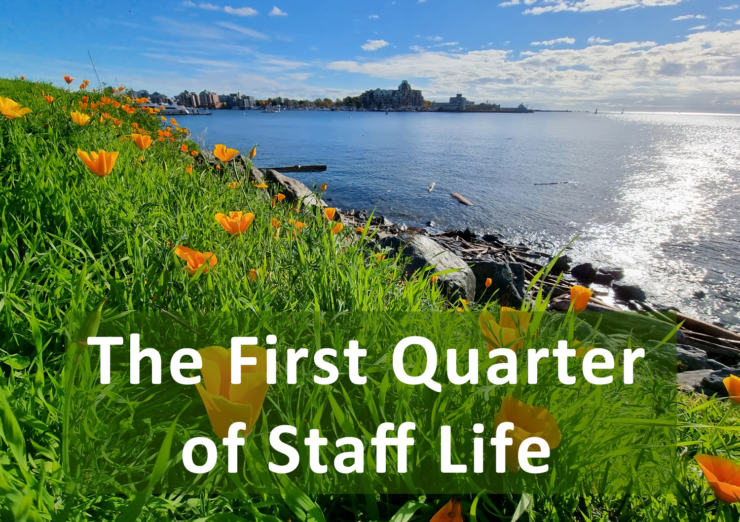 You are currently viewing The First Quarter of Staff Life